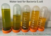 100 스트립 PLA 박테리아 시험 키트,  PET 대장균 시험 스트립